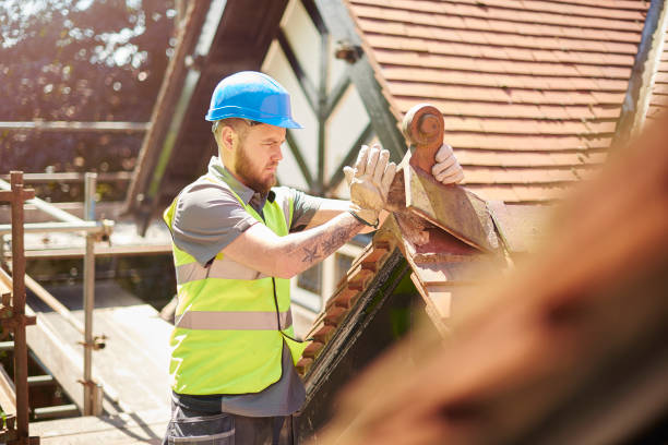 Best Gutter Installation and Roofing  in East Franklin, NJ